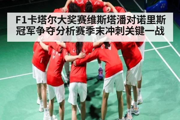 F1卡塔尔大奖赛维斯塔潘对诺里斯冠军争夺分析赛季末冲刺关键一战